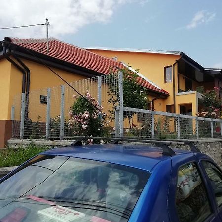 Casa Darius Apartment Orsova Exterior photo